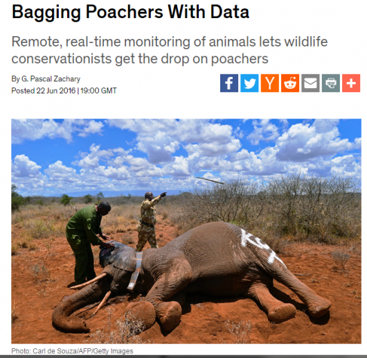 ElephantPoachers